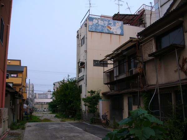 sp